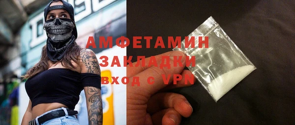 шишки Каменка