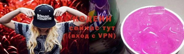 шишки Каменка