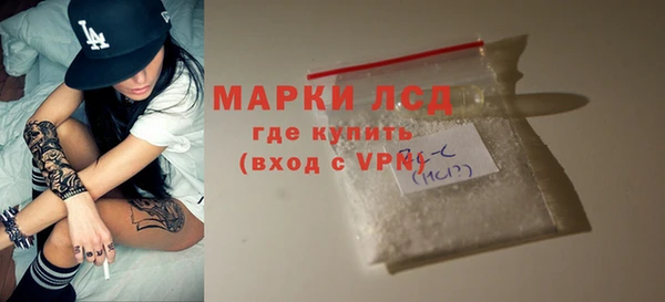 шишки Каменка