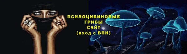 шишки Каменка