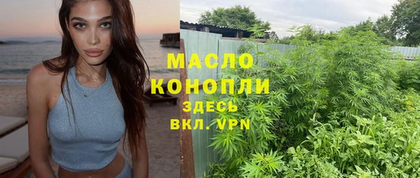 шишки Каменка