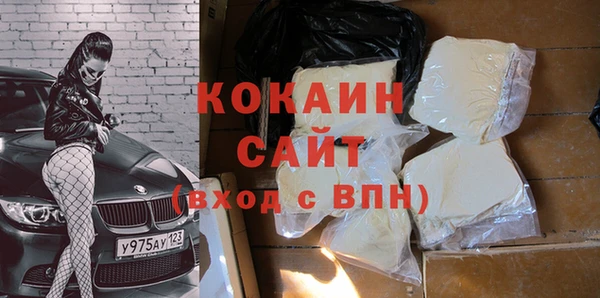 шишки Каменка