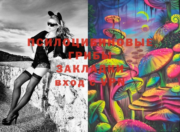 шишки Каменка