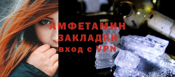 шишки Каменка