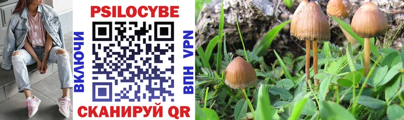 Псилоцибиновые грибы GOLDEN TEACHER где можно купить Камышлов