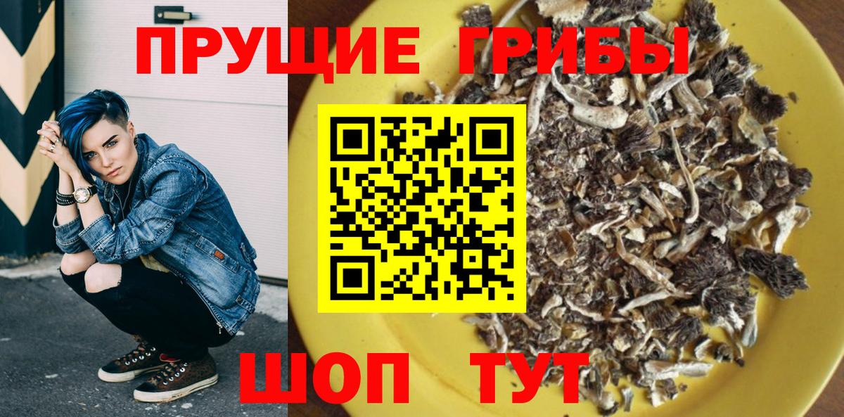Галлюциногенные грибы GOLDEN TEACHER  купить наркотик  Камышлов  Вход с VPN 
