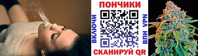 Шишки марихуана THC 21%  Камышлов 